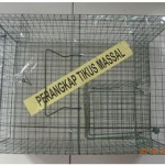 perangkaptikusmasal-1